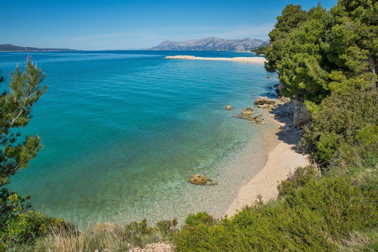 Villa Luce Mit Pool Makarska Rum bild